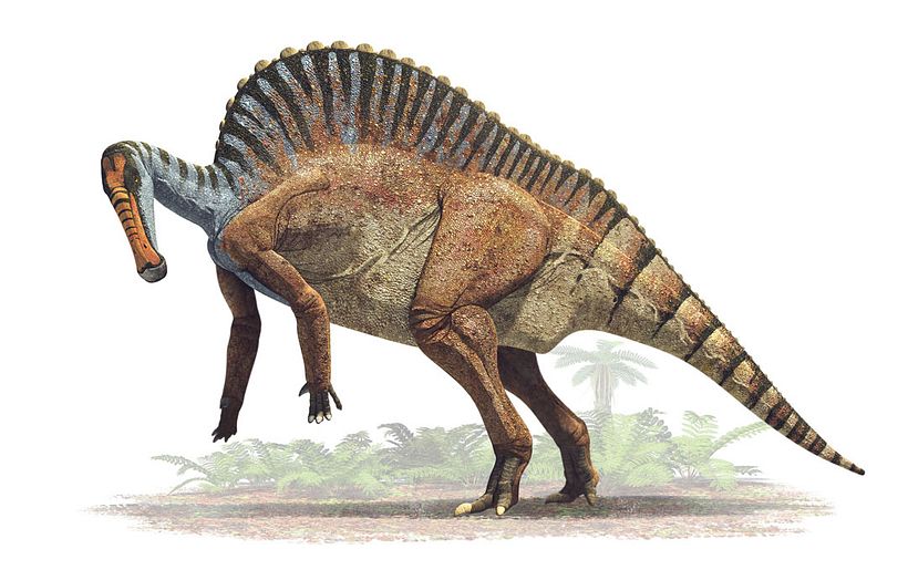 Ourannosaurus nigeriensis.