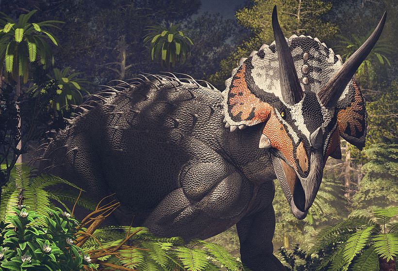Triceratops horridus, imagen de portada.