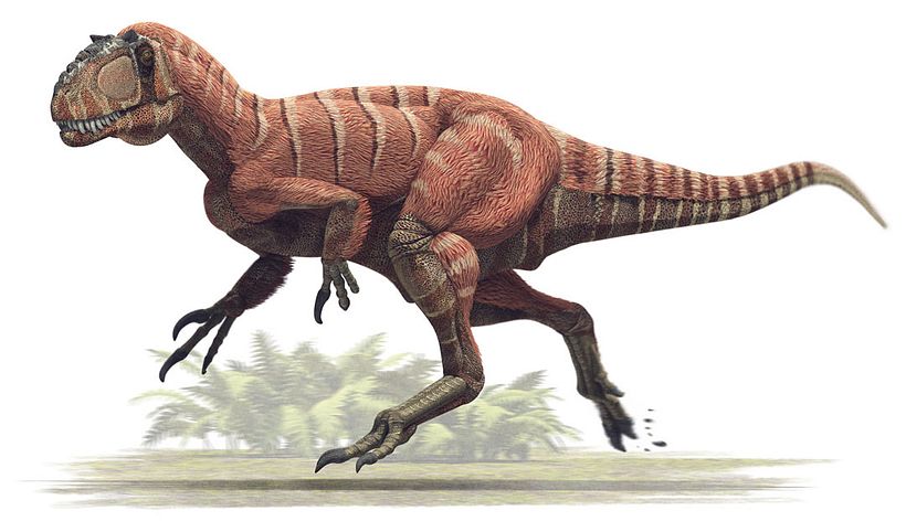 Yutyrannus huali