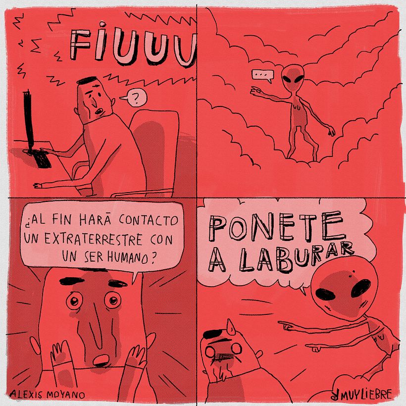 Muy Liebre 2