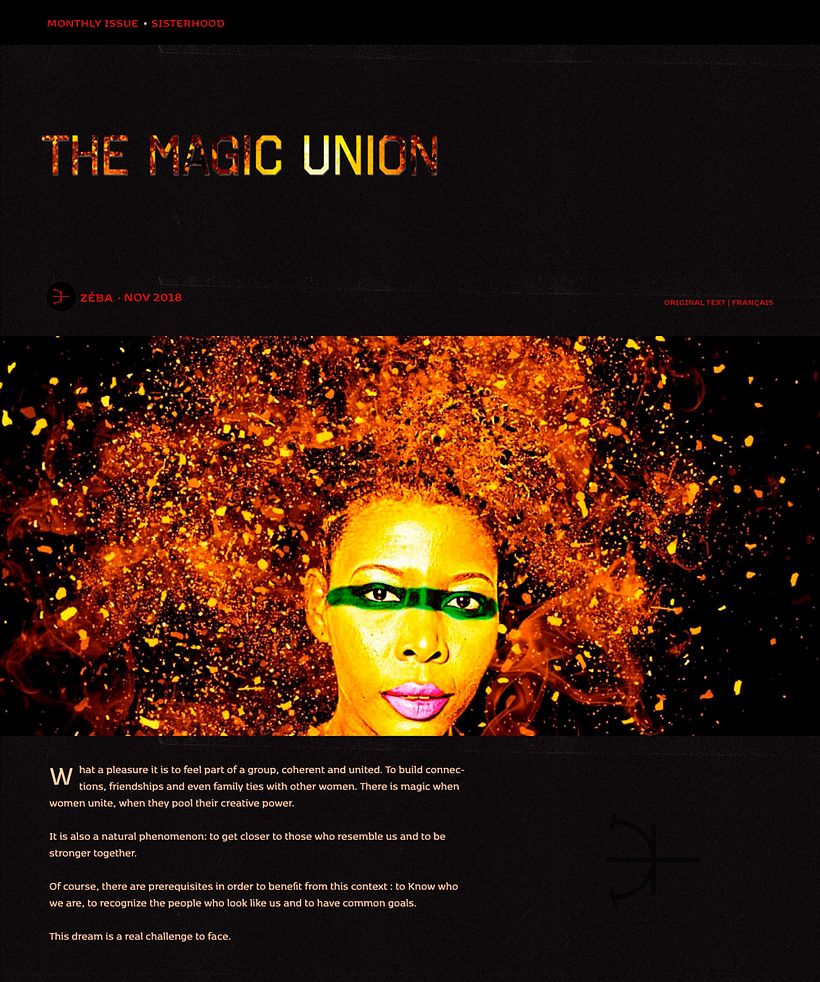 AFRONOMADNESS - Web Design