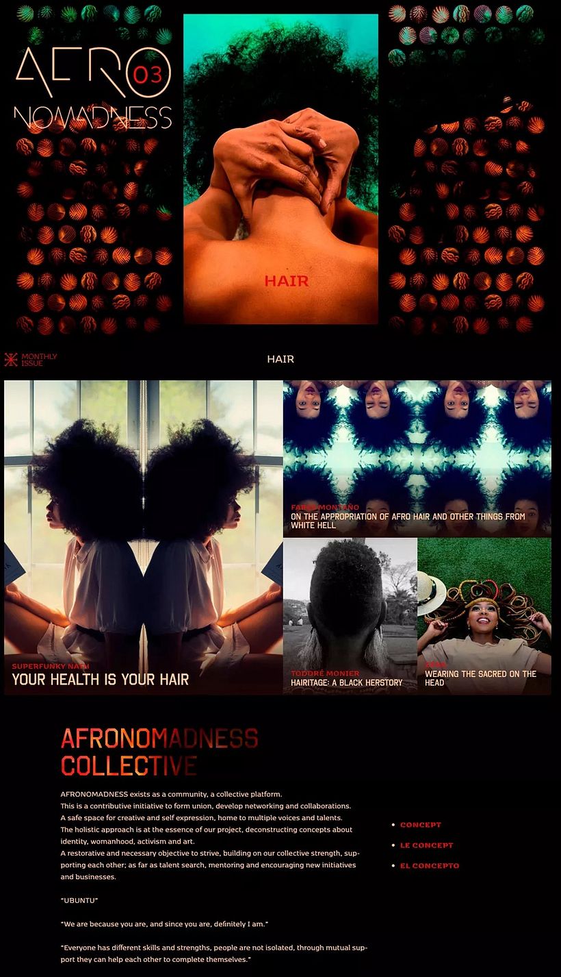 AFRONOMADNESS - Web Design