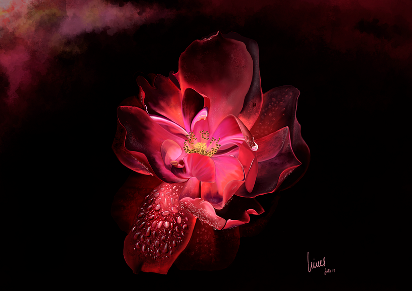 Rosa - primer proyecto hecho después de realizar el curso de Procreate con @jaime_sanjuan_ocabo -1