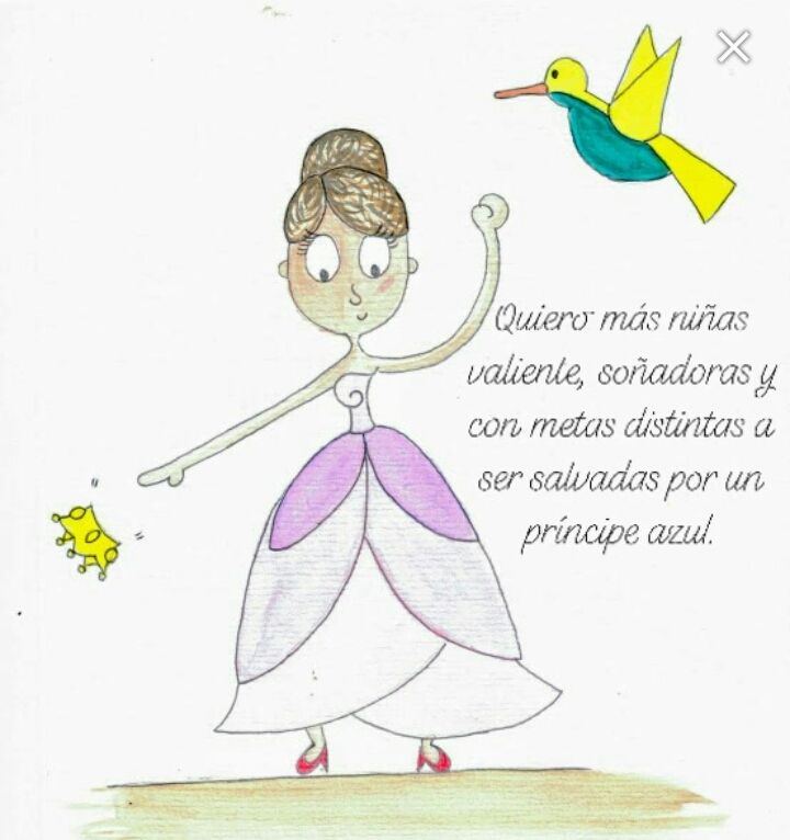 Princesa feminista 0