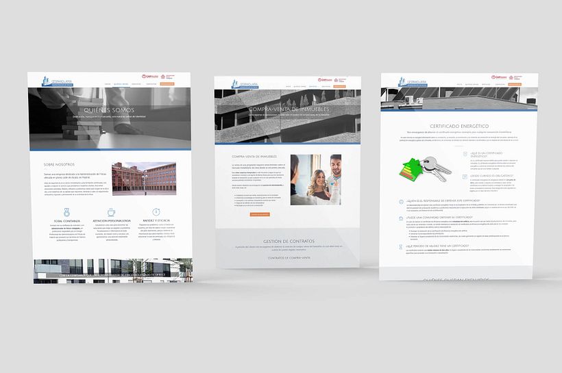 GESFIMAD & AFRA: Web 2