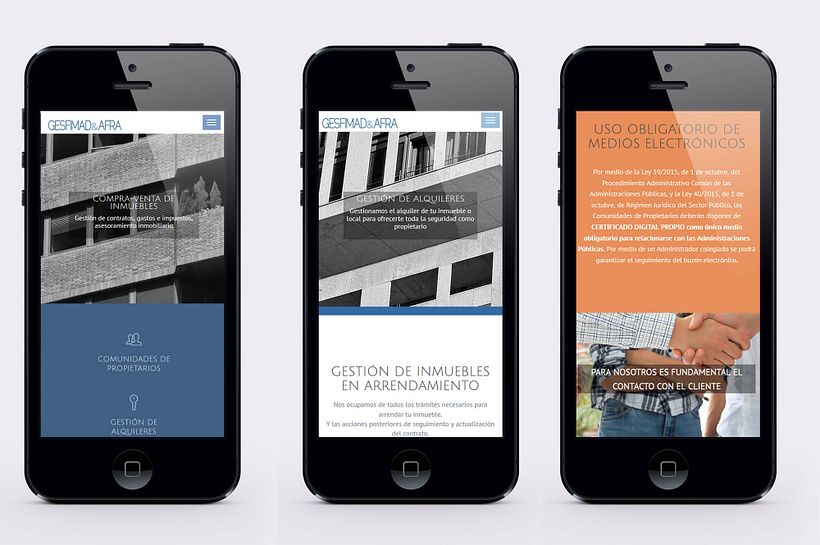 GESFIMAD & AFRA: Web 5