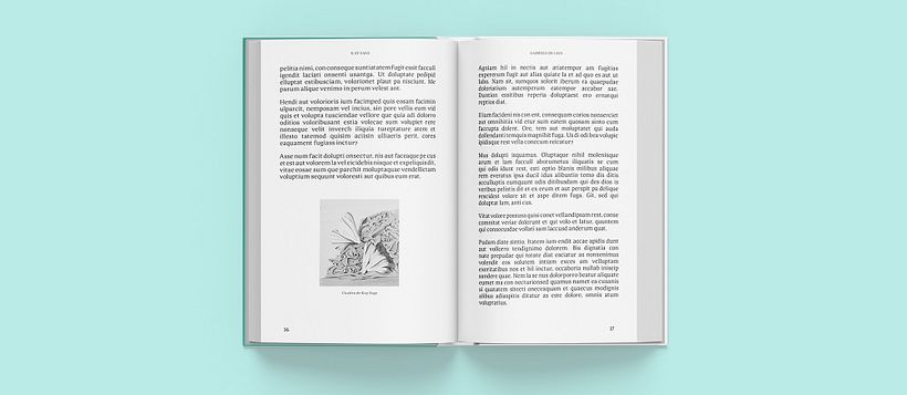 "Artistas Olvidadas", propuesta de diseño para colección editorial 1