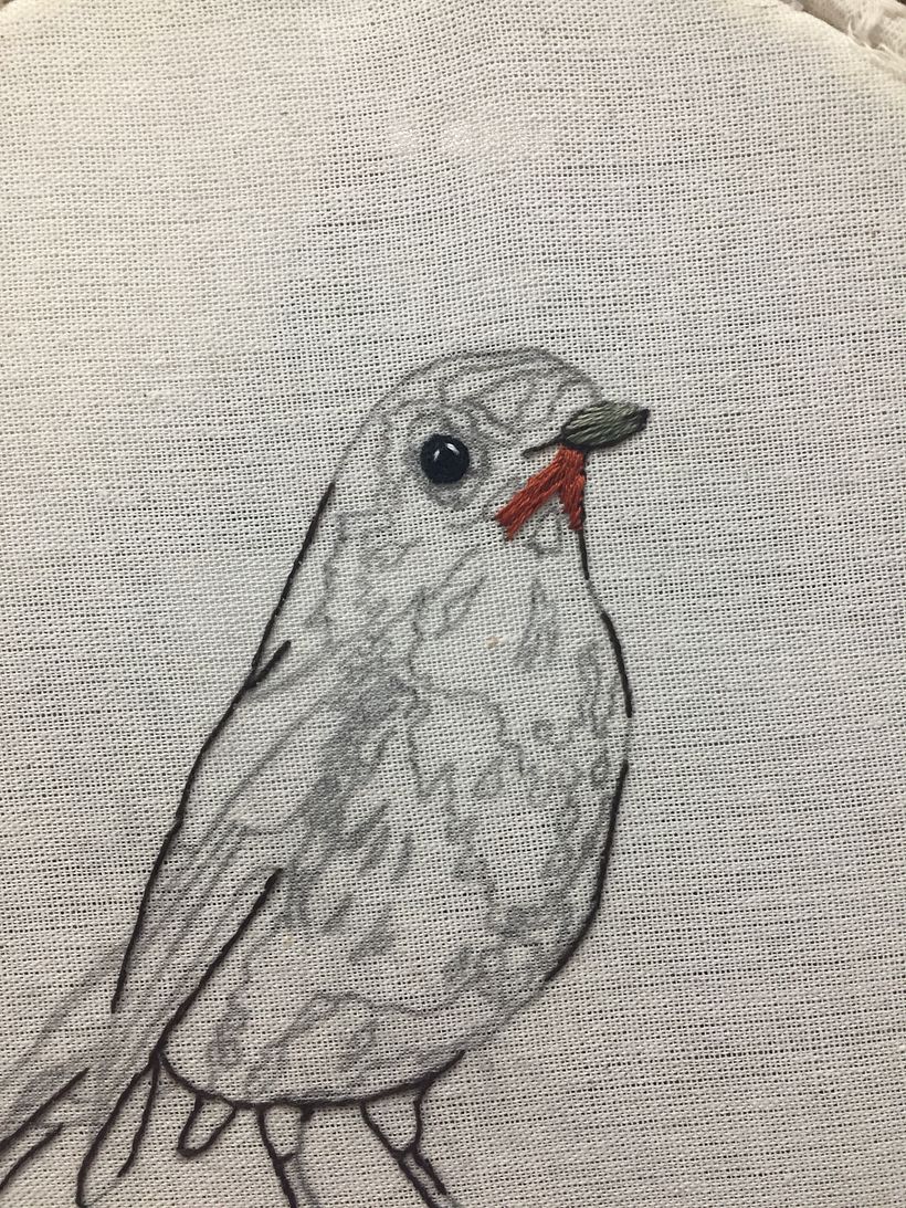 Mi Proyecto del curso: Pintar con hilo: técnicas de ilustración textil 1