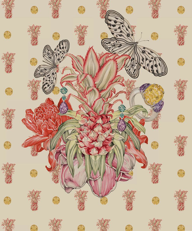 SUÁREZ Colecciones 0