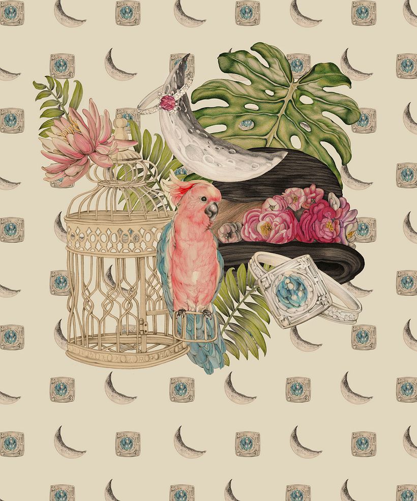 SUÁREZ Colecciones 6