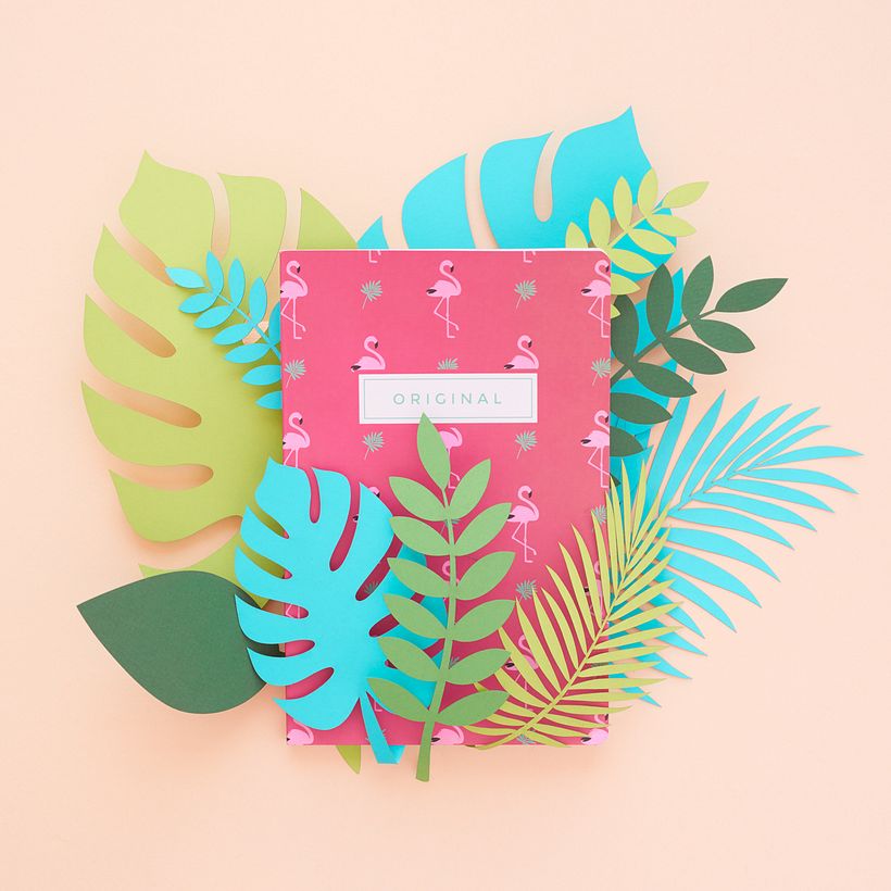 Campaña de contenido instagram - TRF  1