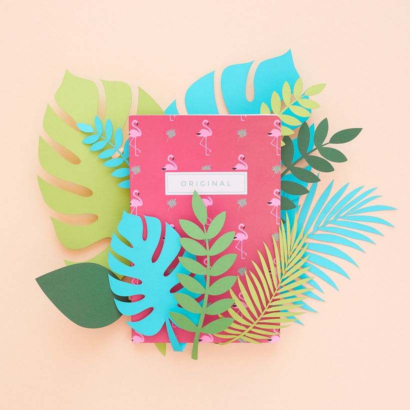 Campaña de contenido instagram - TRF  2