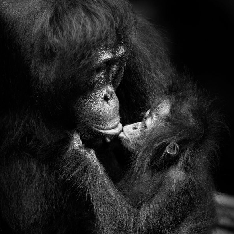 Fotografía de Isabel Muñoz.