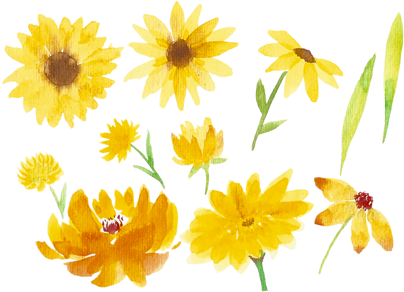 FLORES EN ACUARELA  9