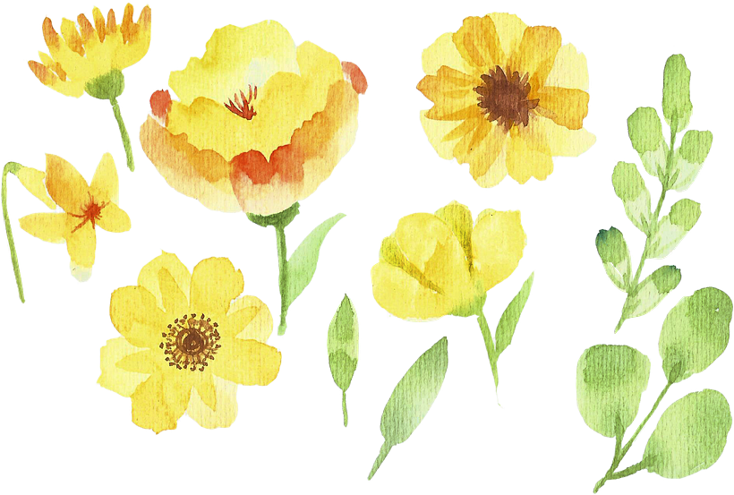 FLORES EN ACUARELA  10