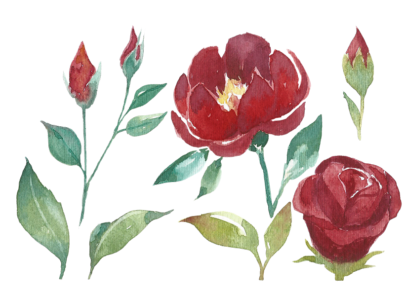 FLORES EN ACUARELA  17