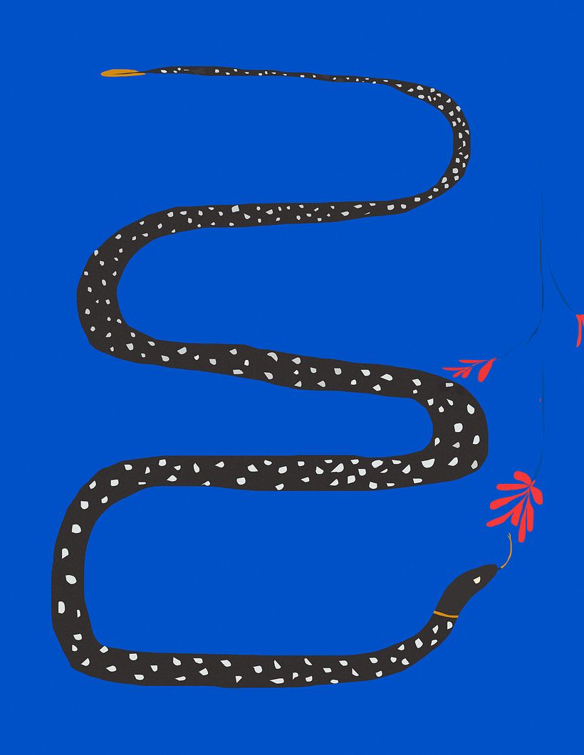 La nuit 7