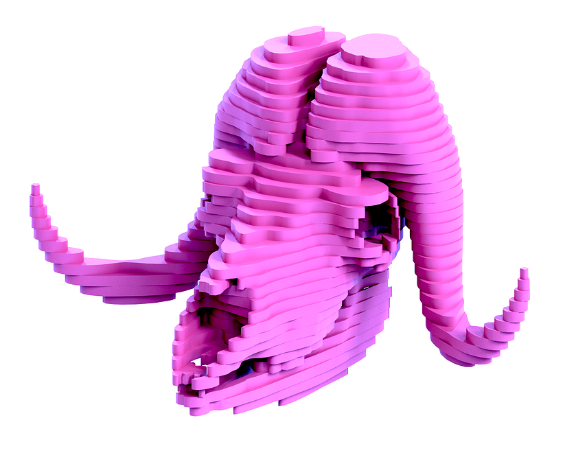 Bone Boxes 2