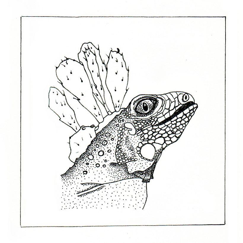 Naturalia 4/4 Nopal - Estilógrafo, 2017 - Nat Tenorio 