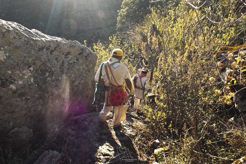 Camino del Venado 1