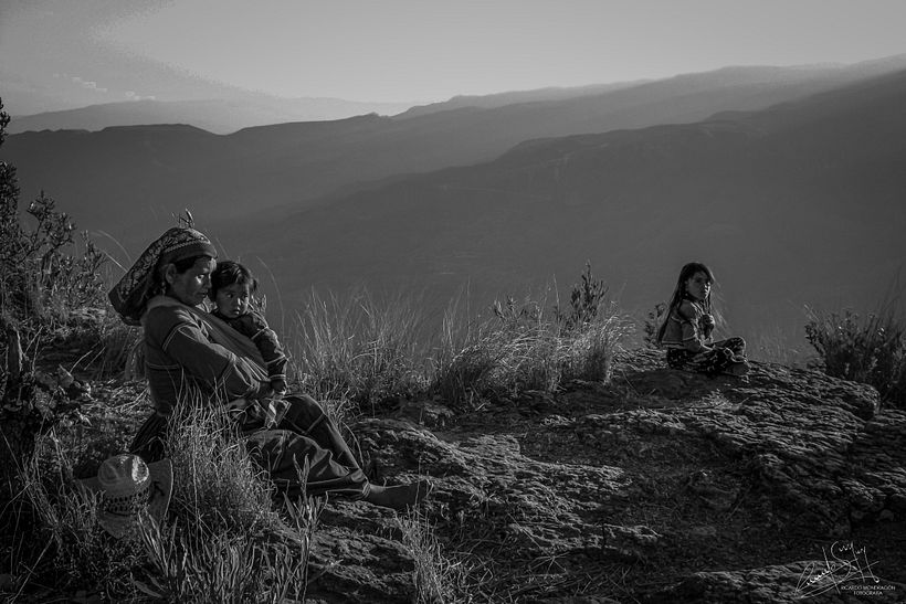 Camino del Venado 6