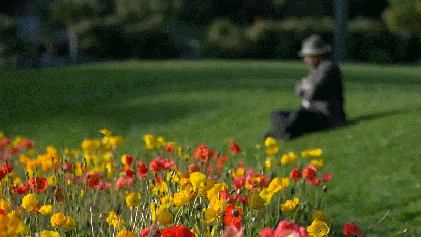 ¿Qué es y cómo hacer un cinemagraph? 10