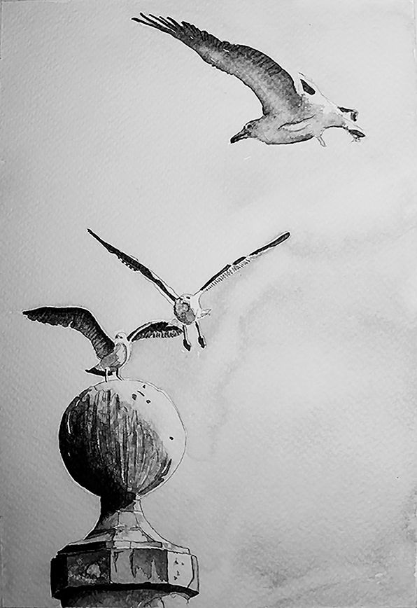 Mi Proyecto del curso: Estudio de aves 0
