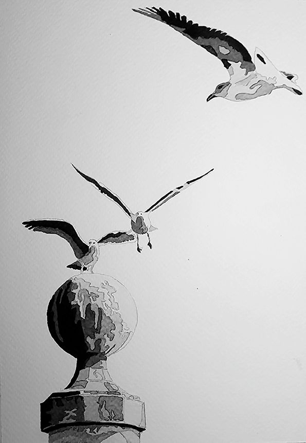 Mi Proyecto del curso: Estudio de aves 1