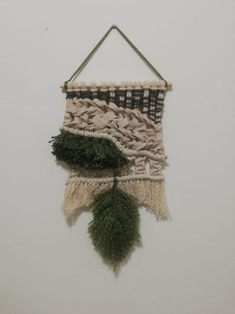 Cactus -1