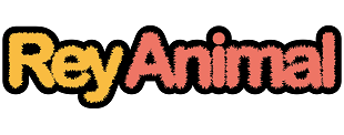 ReyAnimal.com - Tienda online para mascotas 5