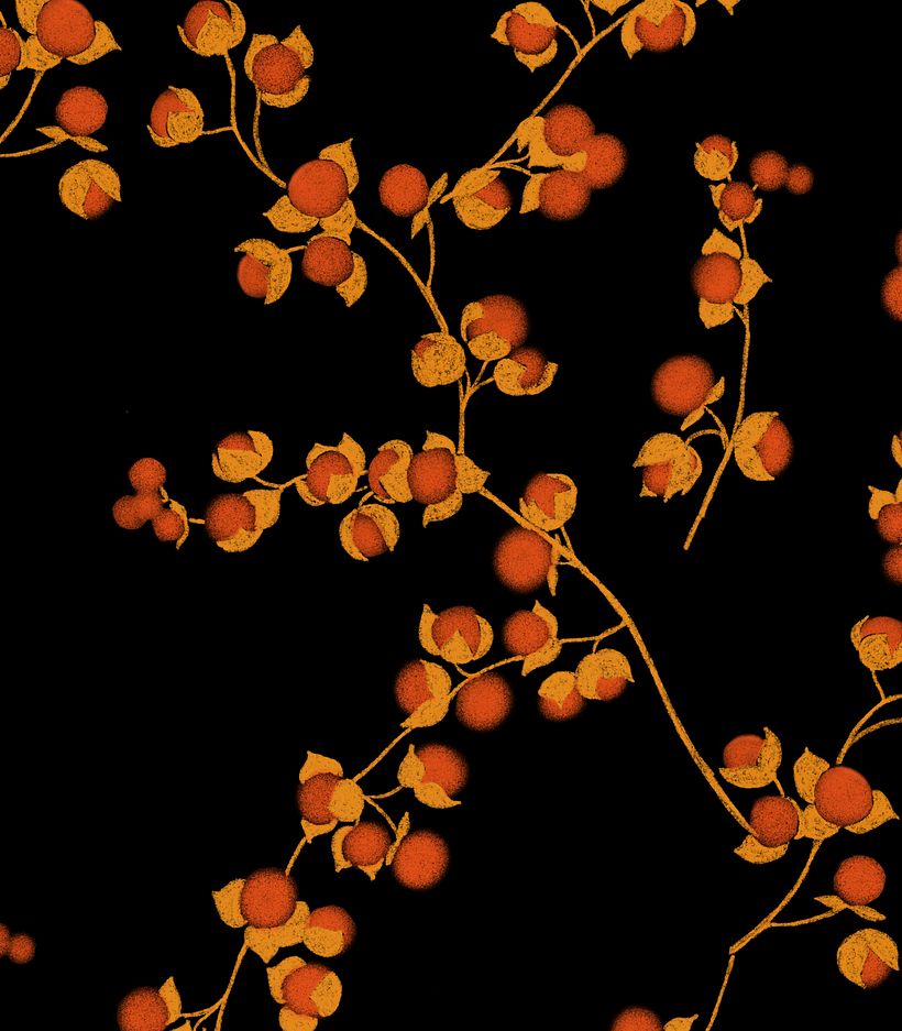 CHINESE LANTERN - Design