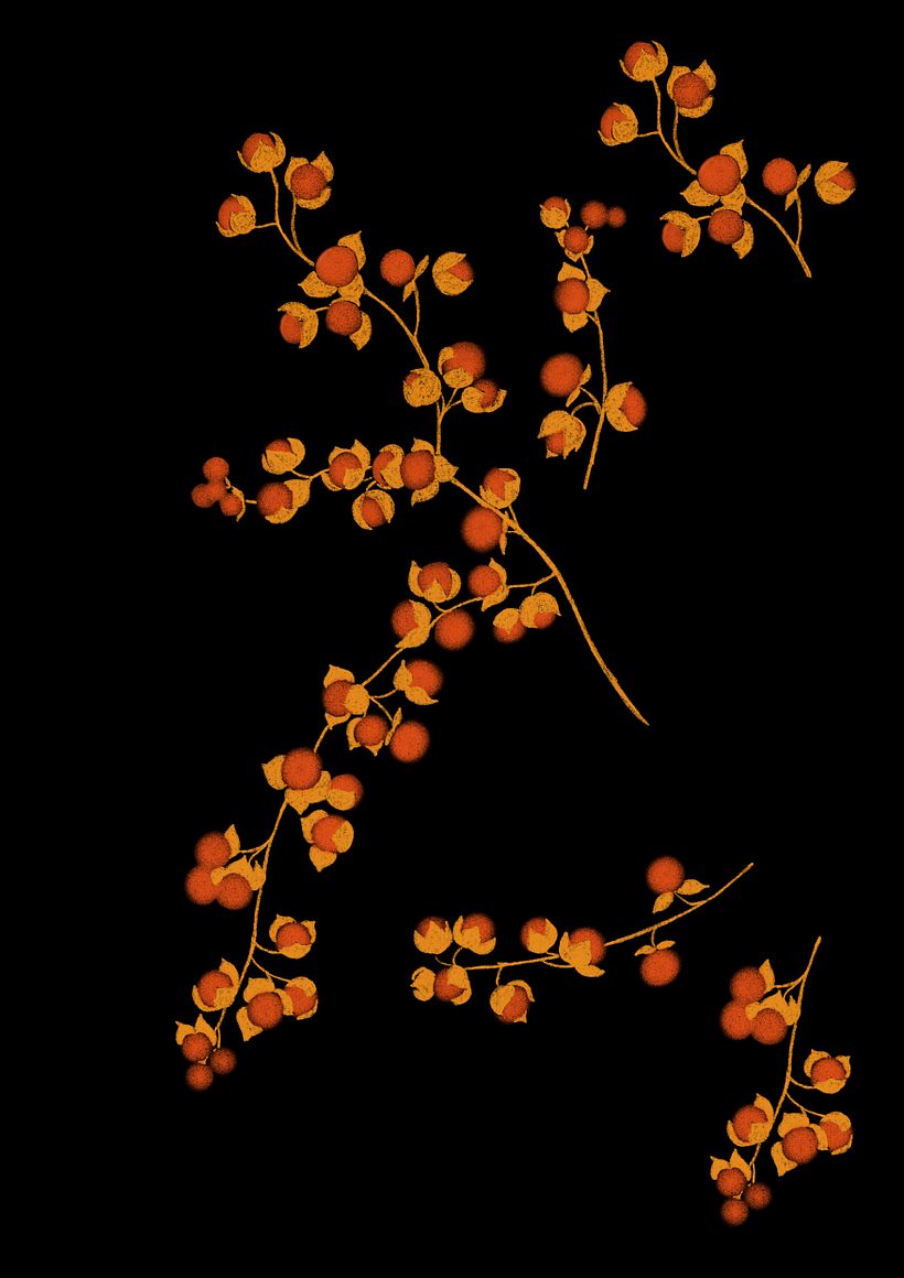 CHINESE LANTERN - Design