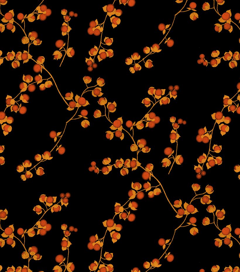 CHINESE LANTERN - Design