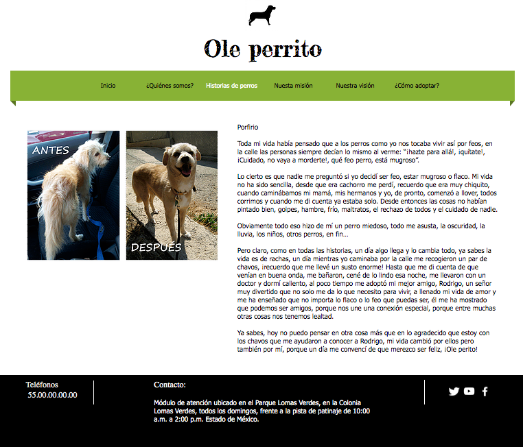 Mi Proyecto del curso: UX: Usabilidad y Experiencia de Usuario 2