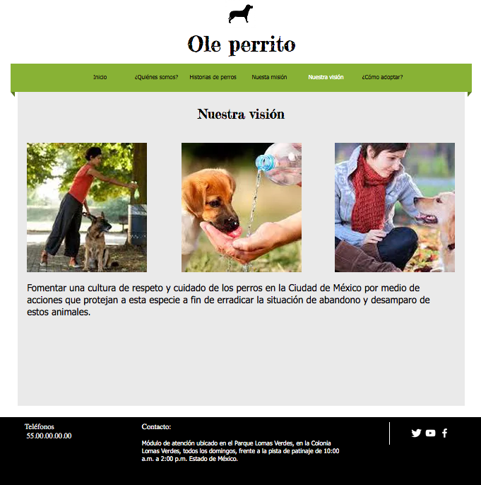 Mi Proyecto del curso: UX: Usabilidad y Experiencia de Usuario 4