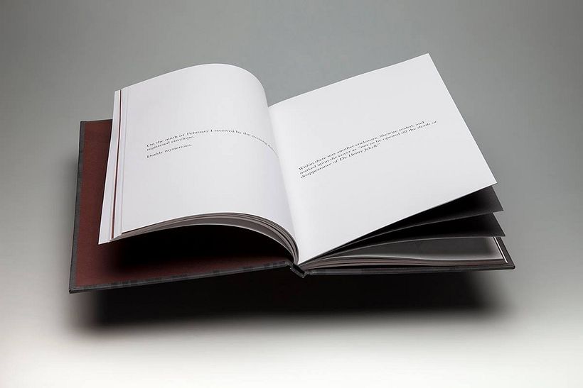 Libro "Mr. & Dr." 3
