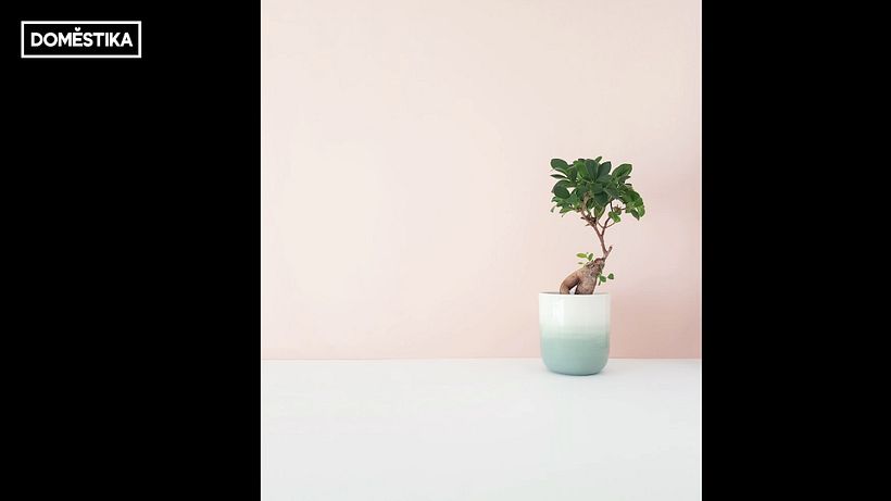 Tutorial Instagram: composición fotográfica para principiantes 11