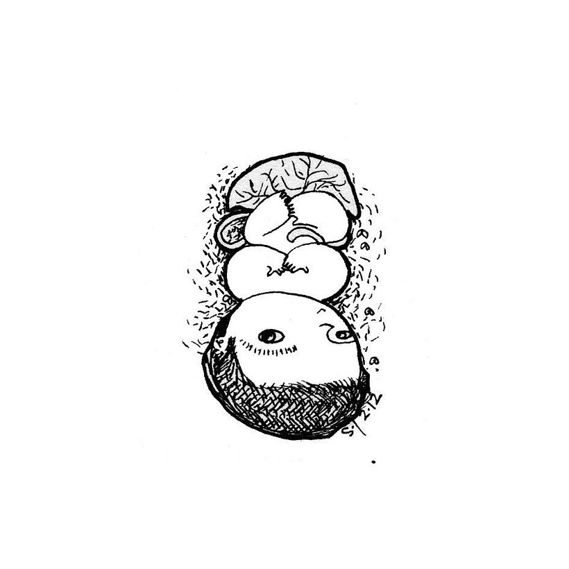 Busco ilustrador o dibujante  1