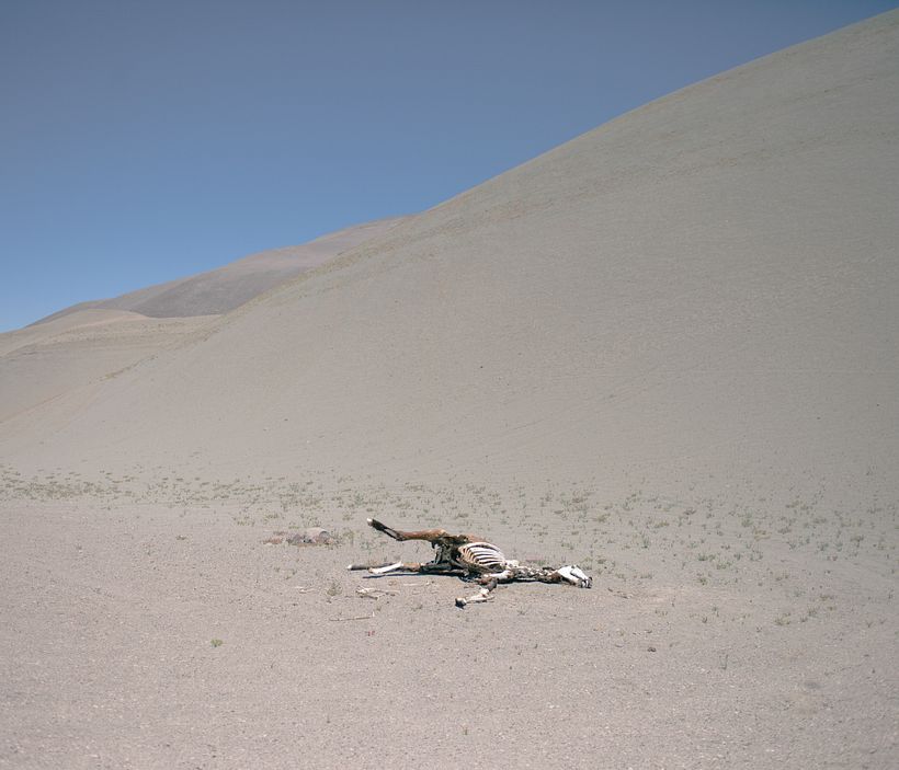 Water, Mining and Exodus 11