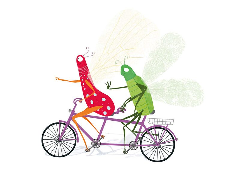 Mi gran aventura en bicicleta 1