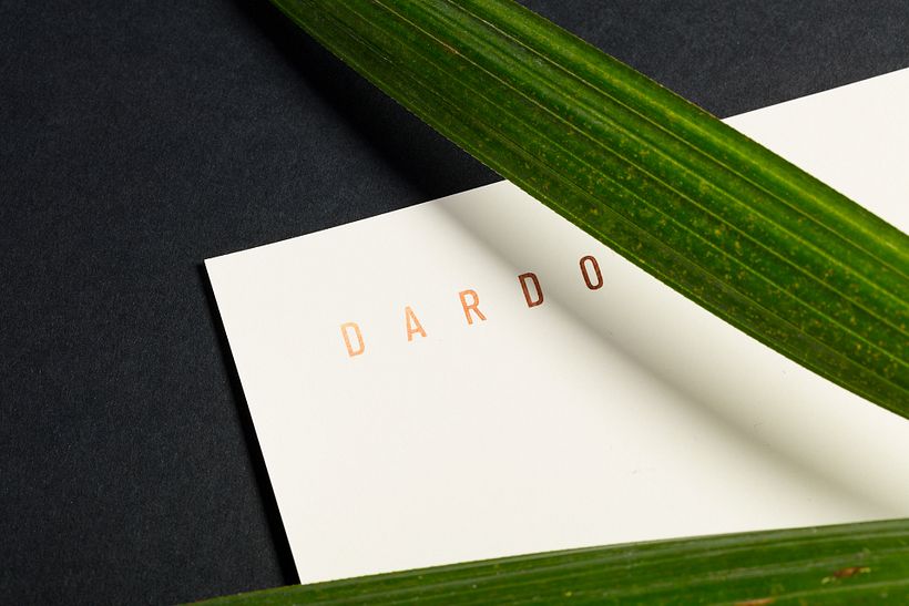 Dardo 13