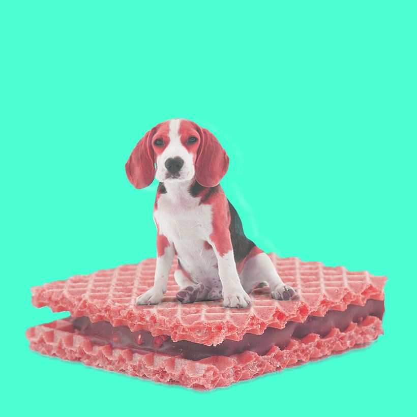 Mi Proyecto del curso: Creación de imágenes Pop Art con objetos cotidianos -1