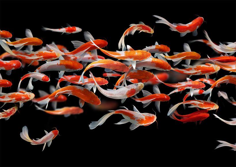 Cómo imprimir tus obras para museos y galerías de arte 2