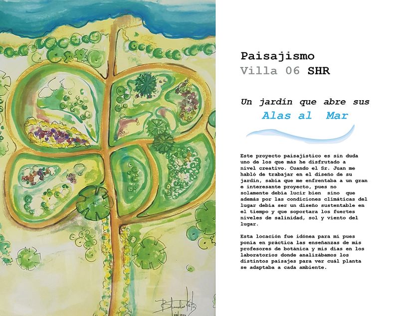 Portafolio  0