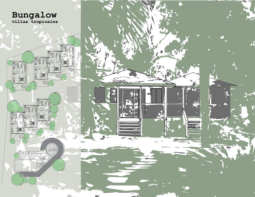 Portafolio  2