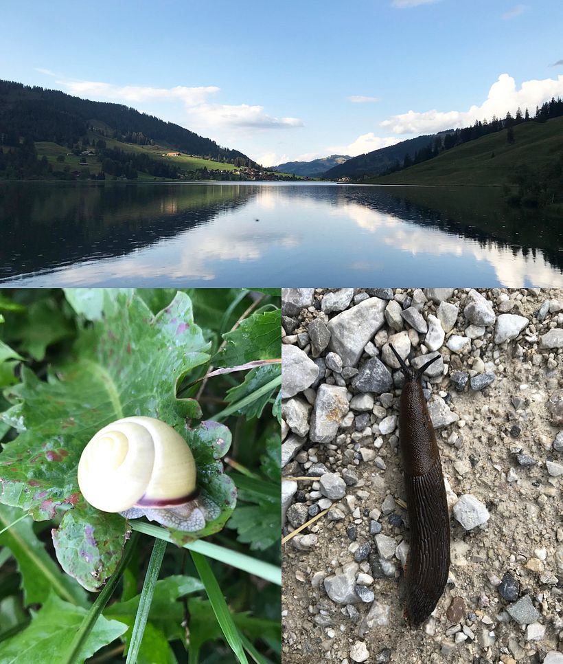 Mein Projekt wurde von einer Wanderung inspiriert, die ich mit meiner Familie um den Schwarzen See (Schweiz) unternahm.