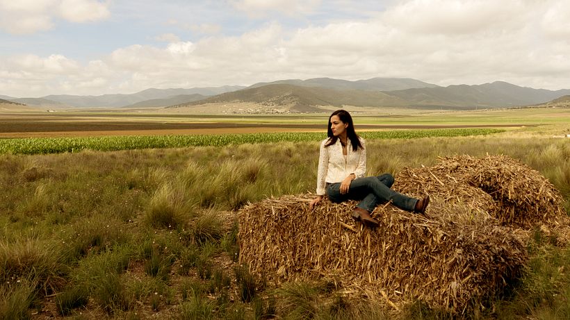 Mi Proyecto del curso: Fotografía artística analógica y digital -1