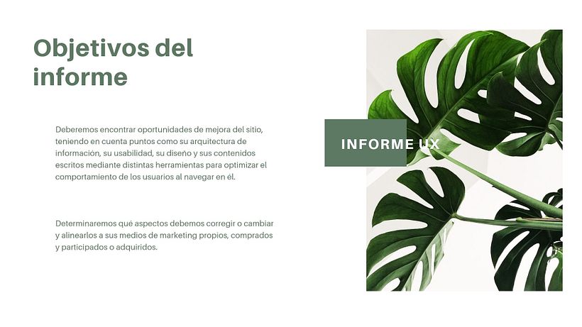 Mi Proyecto del curso: Principios fundamentales de UX 1