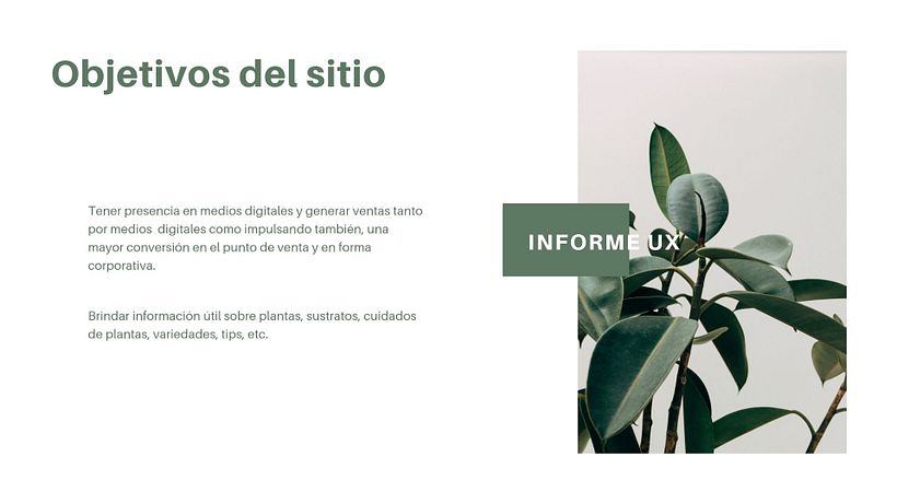 Mi Proyecto del curso: Principios fundamentales de UX 2