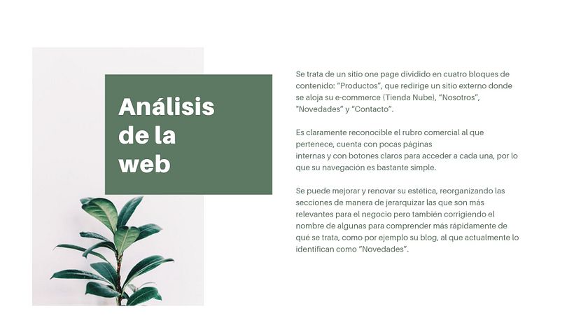 Mi Proyecto del curso: Principios fundamentales de UX 3